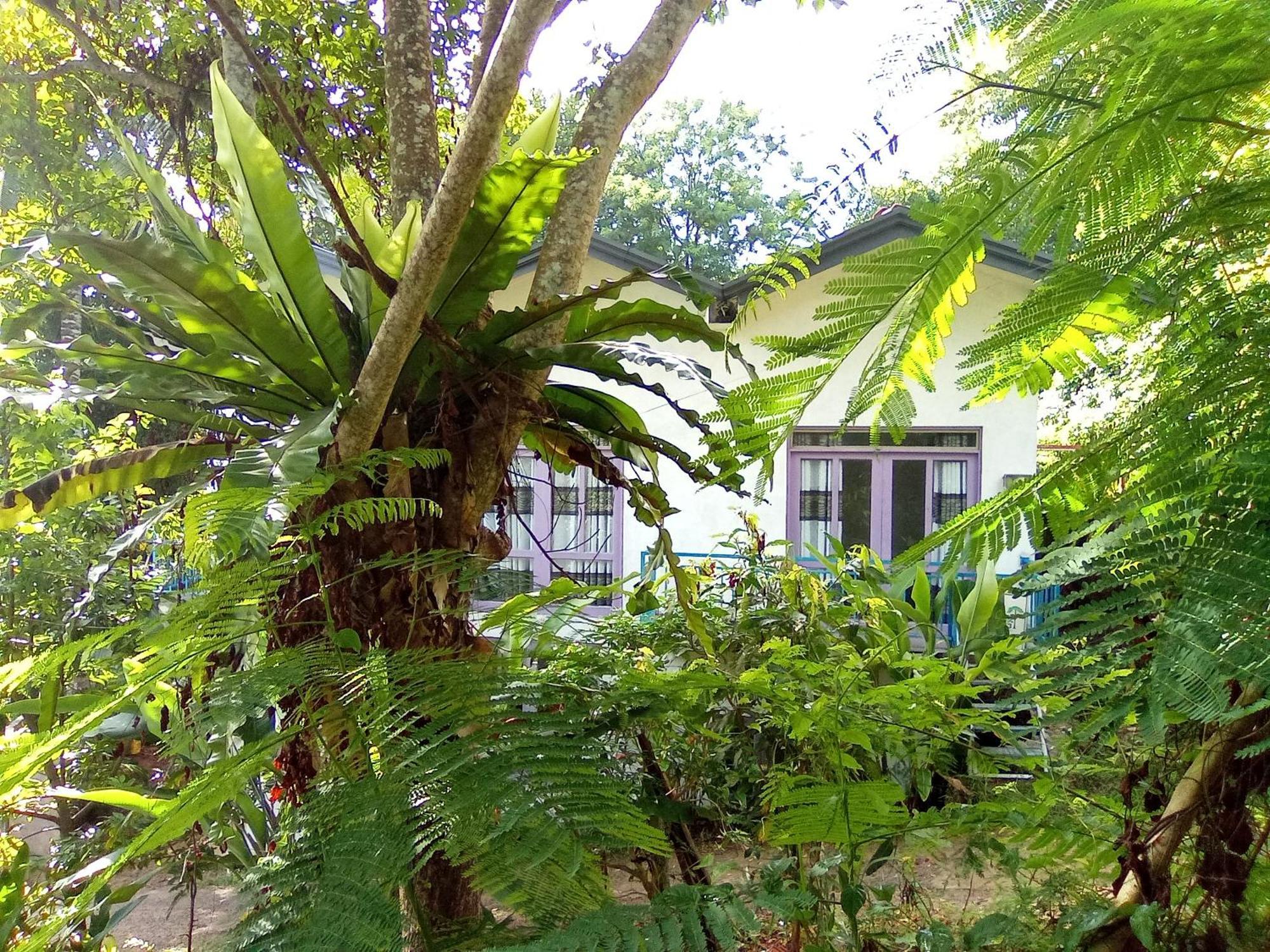 House 73 Hotel อูนาวาตูนา ภายนอก รูปภาพ